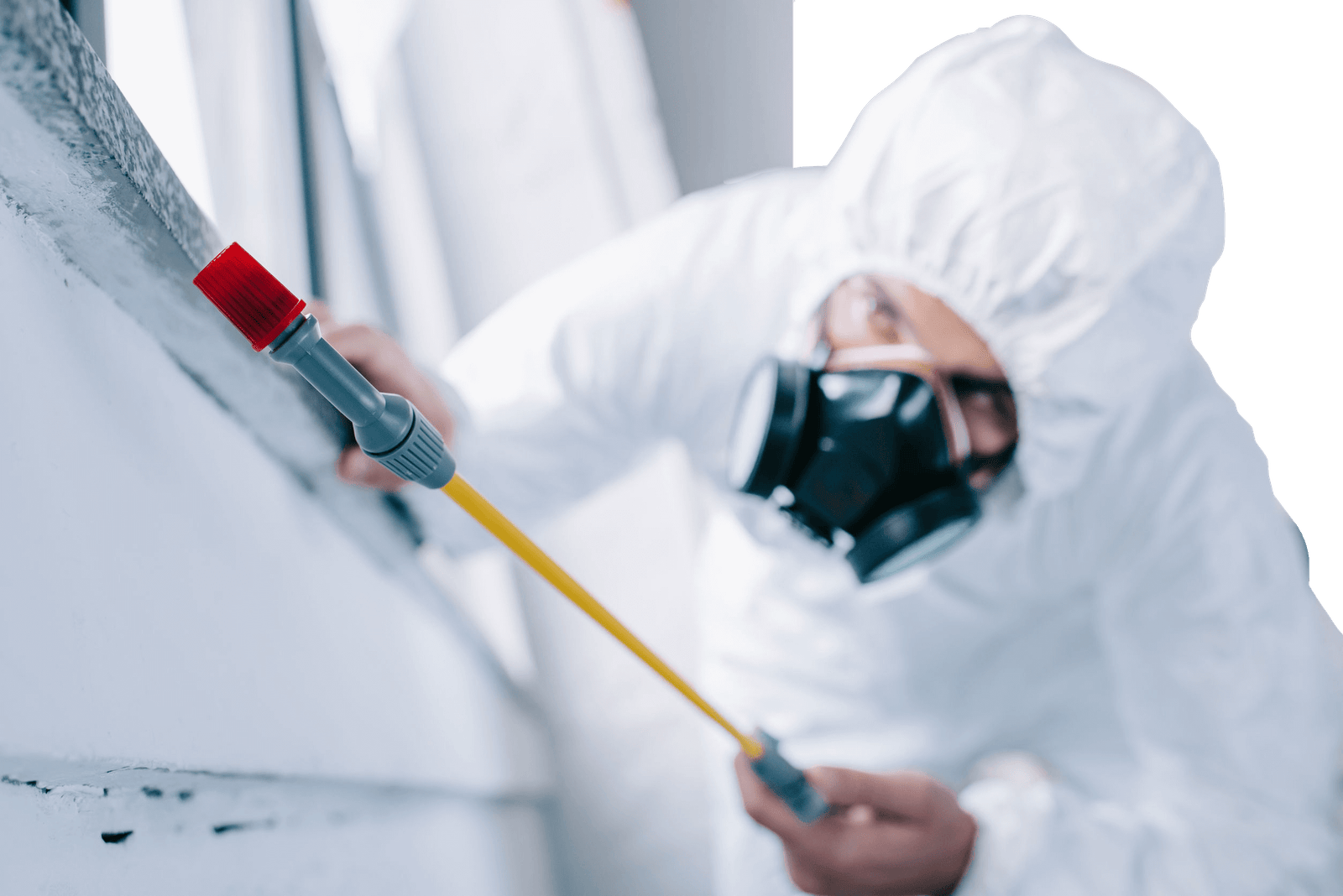Pest Control Services